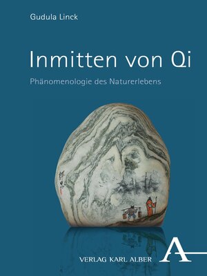 cover image of Inmitten von Qi